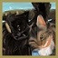 The cat will after kind