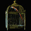 Self-discipline brings freedom