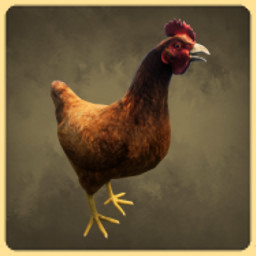 Achievement - Chicken