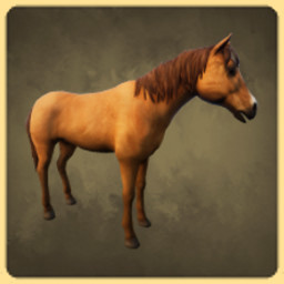 Achievement - Horse