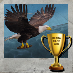 Achievement