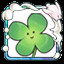 Clover flower A