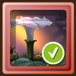 Achievement
