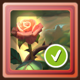 Achievement