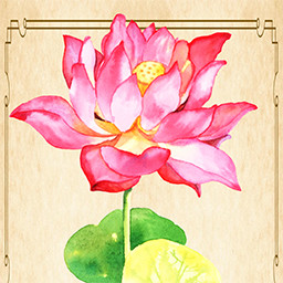 Achievement