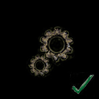 Achievement