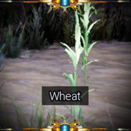 Achievement