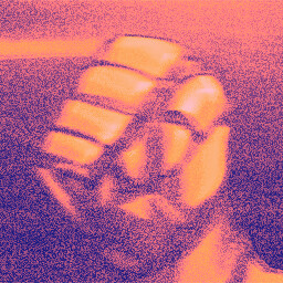 Fight!