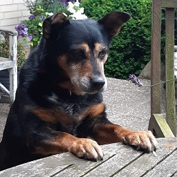 Achievement