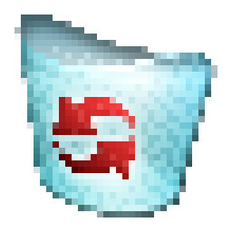 Recycle Bin File
