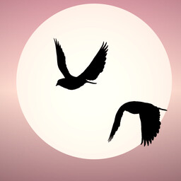Achievement - Find Soulmate