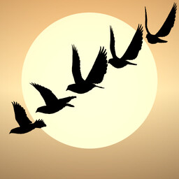 Achievement - Globe Trotter