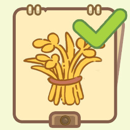 Achievement