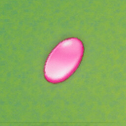 Path to Gems