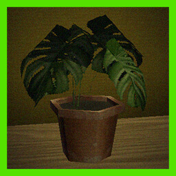 Plant Lover