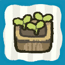 The Gardener's First Day