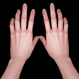Hand Rest