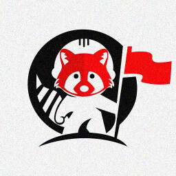 Raccoon collecter
