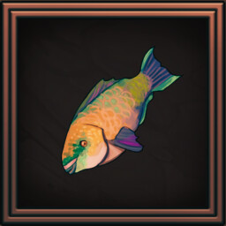 Catch of a Lifetime