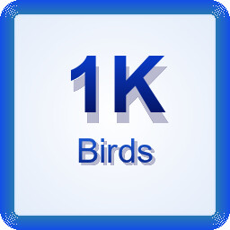 Achievement