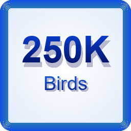 Achievement