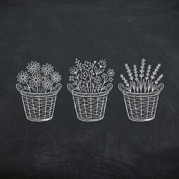 Where Flowers Gather