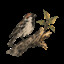 Achievement - The Wise Bird Chooses Its Tree