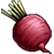 :nic_beet: