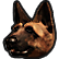 :cscdexter: