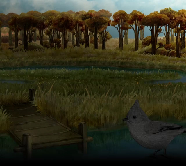 Abandoned pond