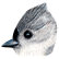 :titmouse:
