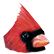 :birdcardinal: