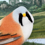 Bearded Reedling