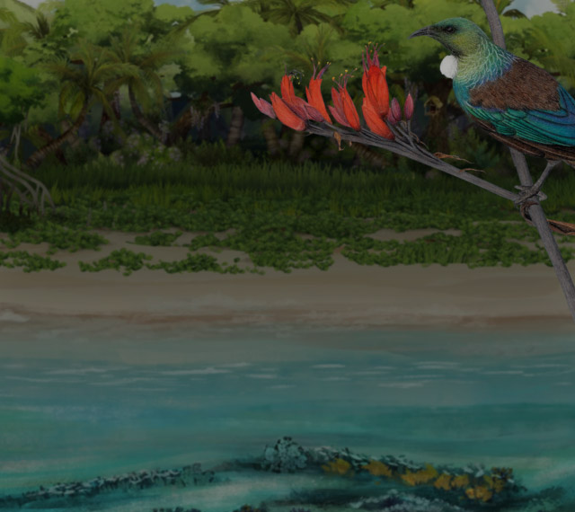 Shoreline symphony