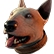 :whiskydog: