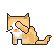:cat_face_wash: