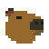 :1dcappy: