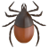 :TickBug: