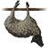 :nebu_sheep: