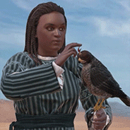 Daura Holding Falcon