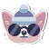 :winter2019cooldog: