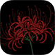Red Spider Lily badge