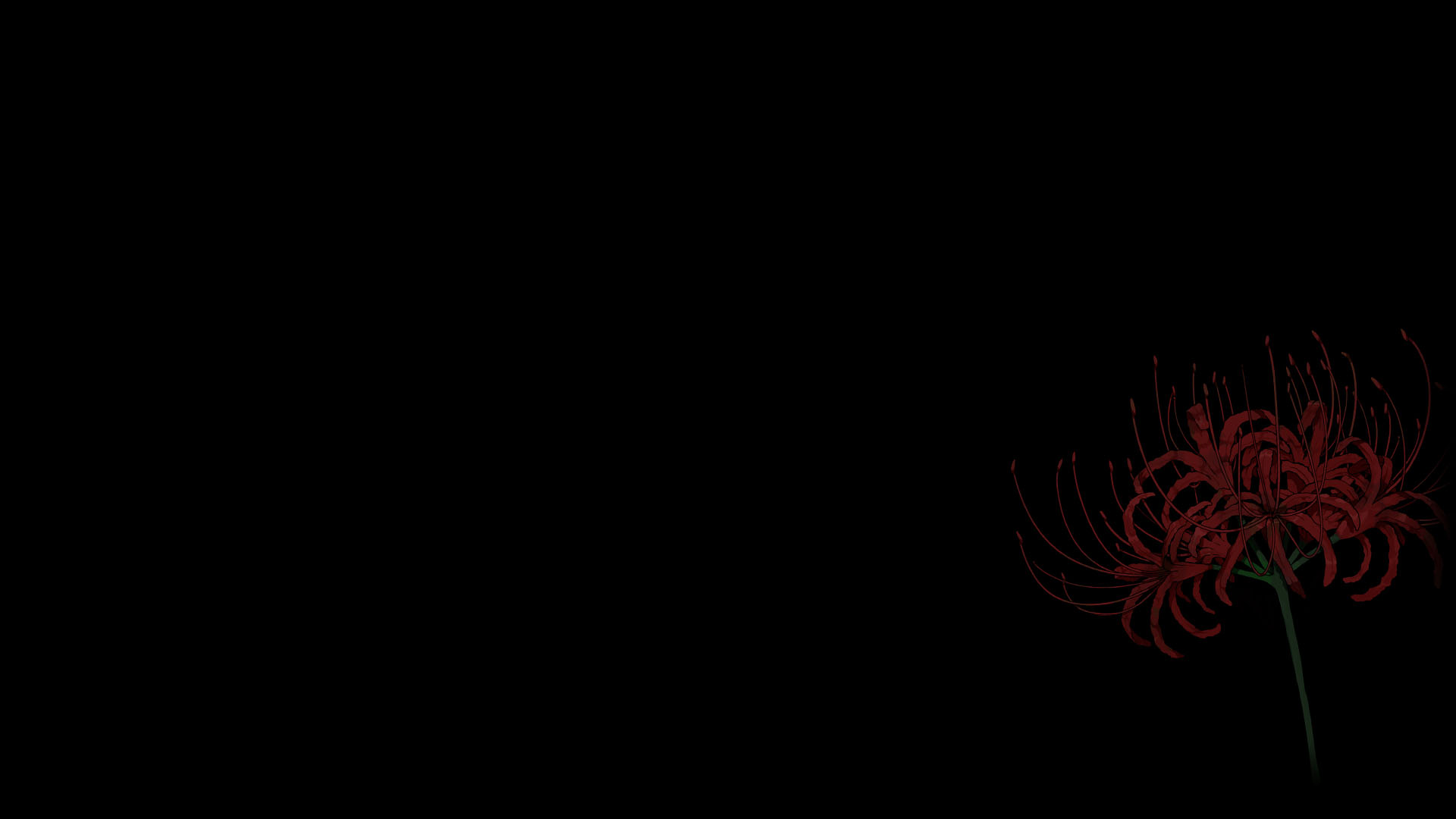 Cluster-amaryllis