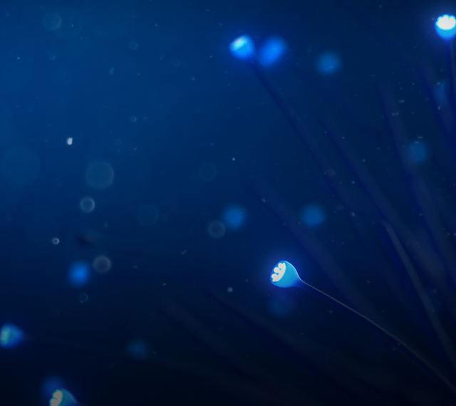 Deep Sea Mini-Profile
