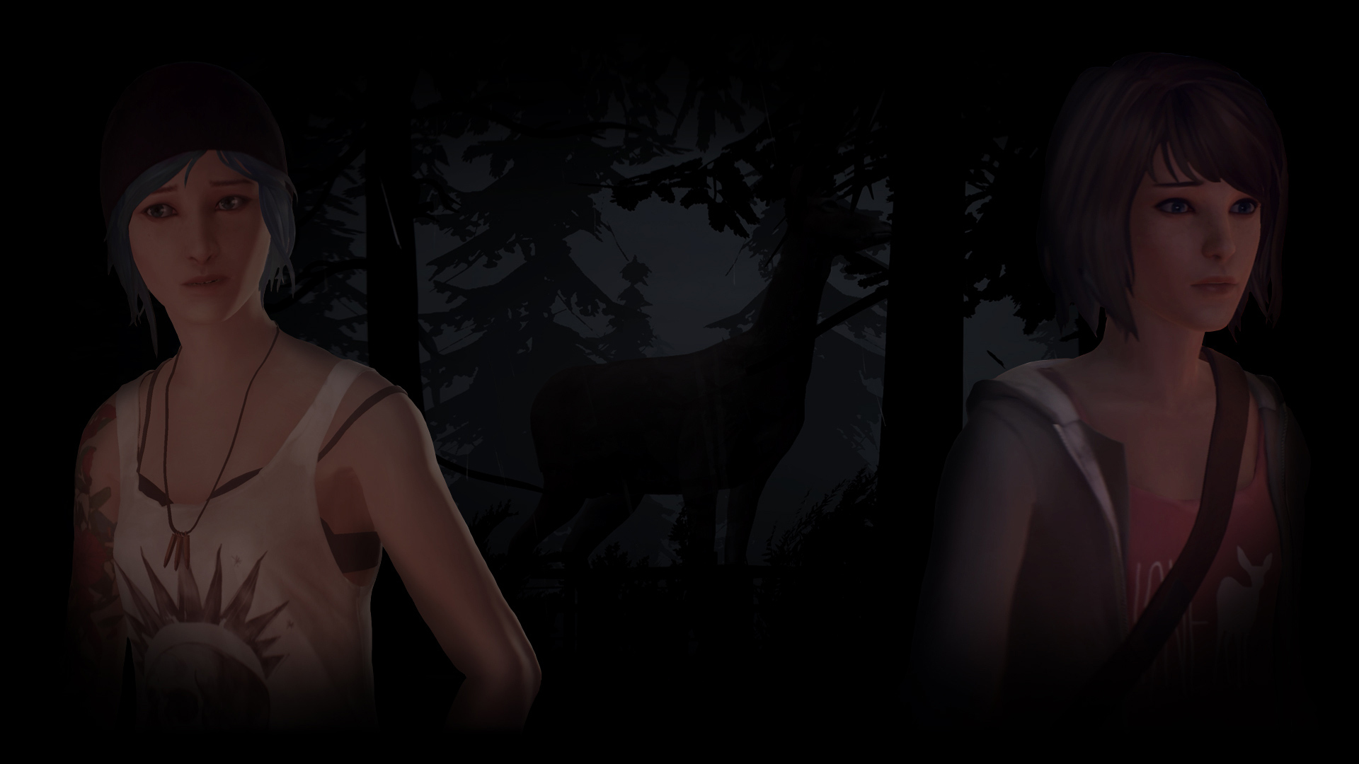 Into the Forest