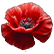 :conscript_poppy:
