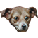 :abite: