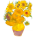 :sunflowers: