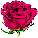 :RedishRose: