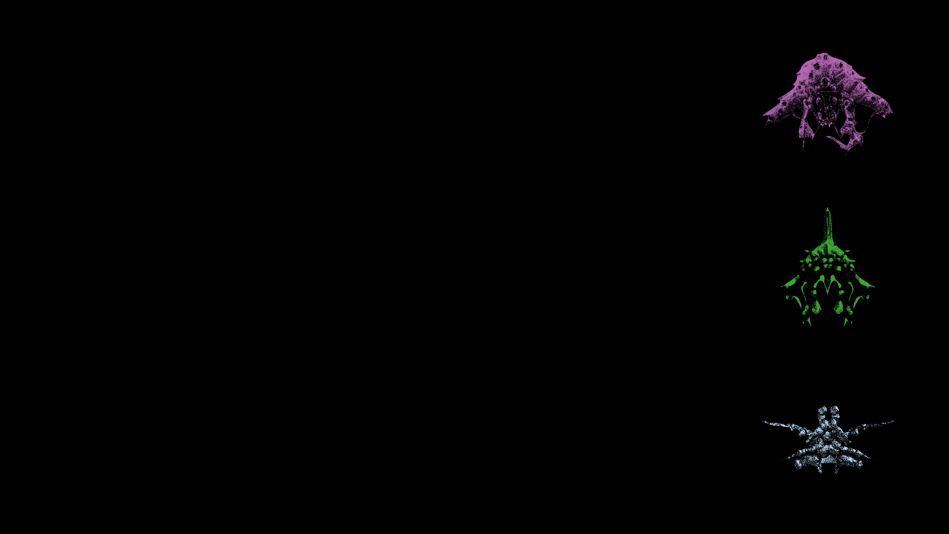 Entities C